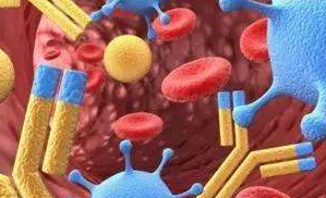 抗主要過敏原抗體、抗人免疫球蛋白抗體、流式抗體、抗過敏主要相關(guān)致病分子抗體